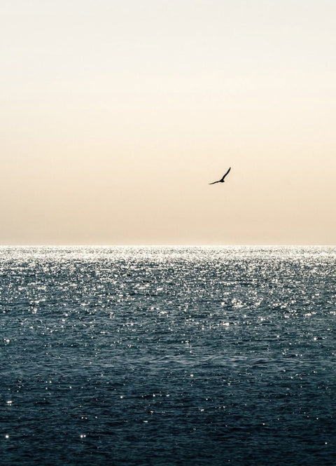 Bass Strait Fishing Charters