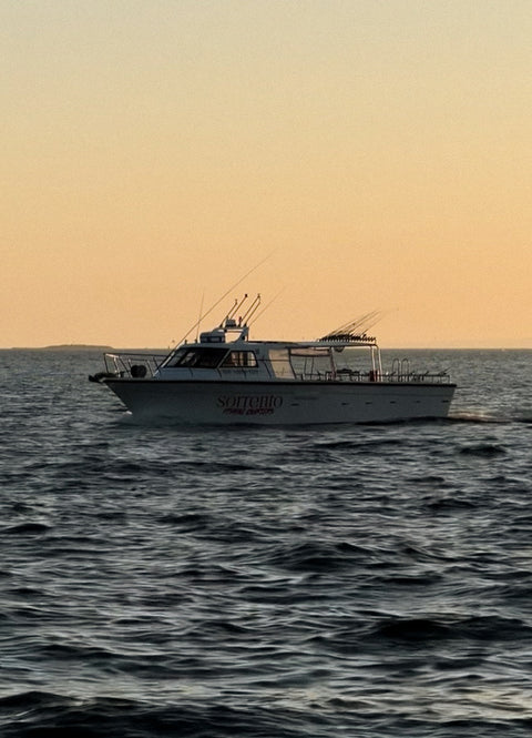 Private Sunset Cruises / On Request