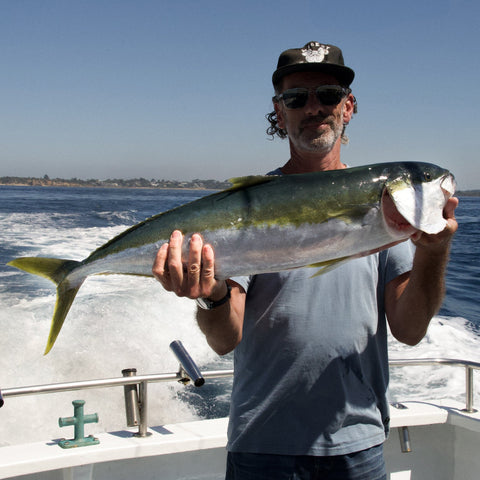 Shared Regular Charter