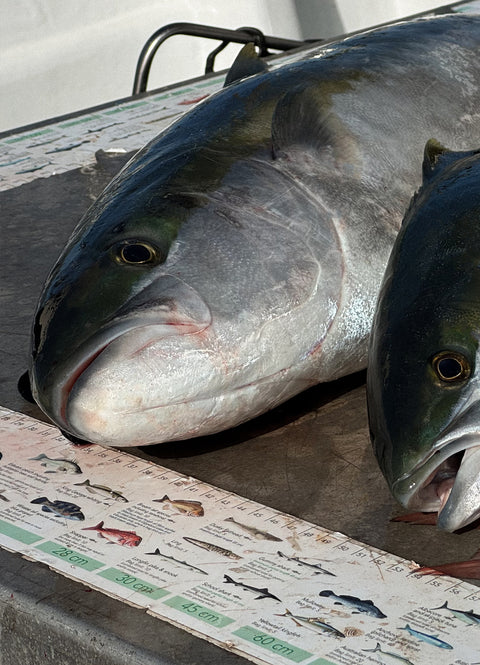 Private Fishing Charters