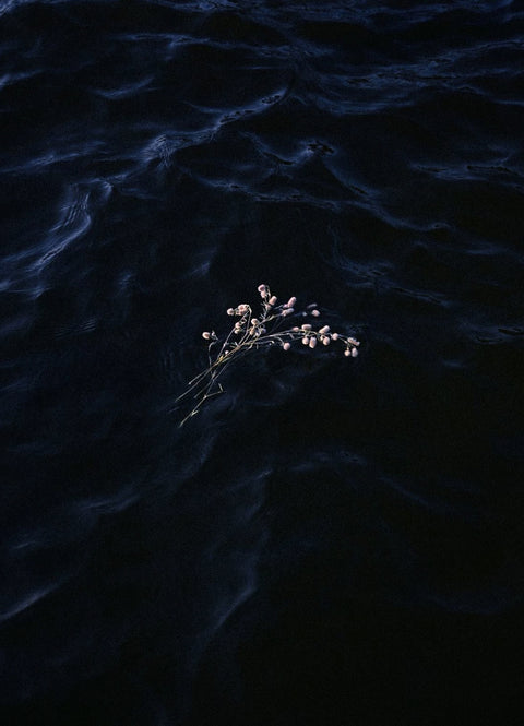 Farewell at Sea