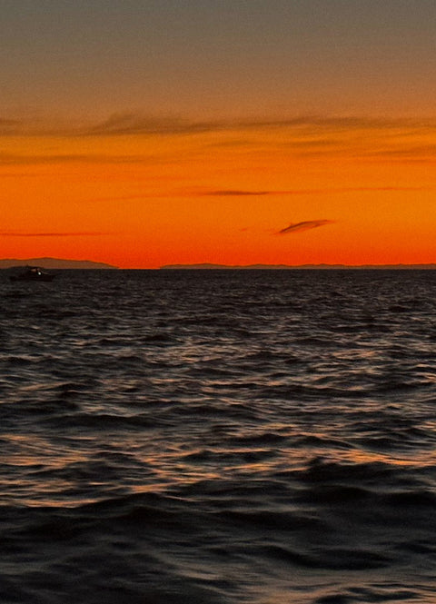 Private Sunset Cruises / On Request