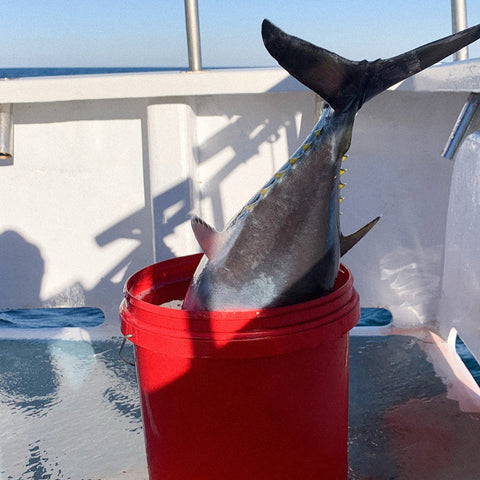 Private • Fishing Charter