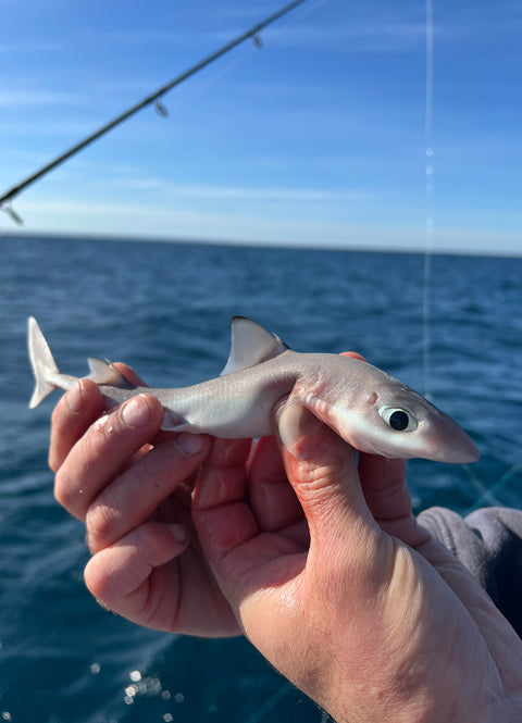 Shared Kids Charters