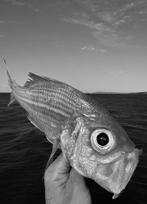 Shared Kids Charters