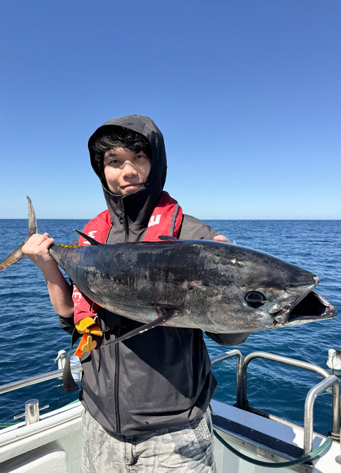 私人金枪鱼包船