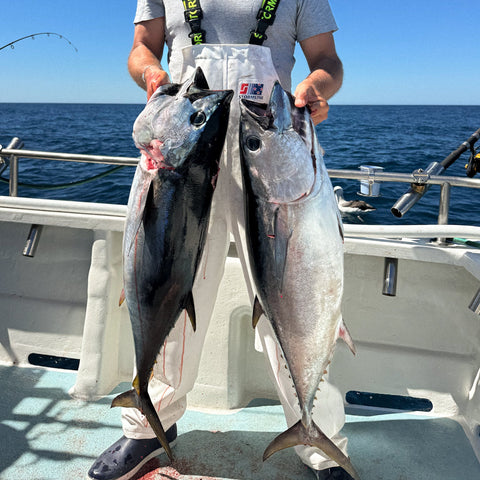 Private Tuna Charters