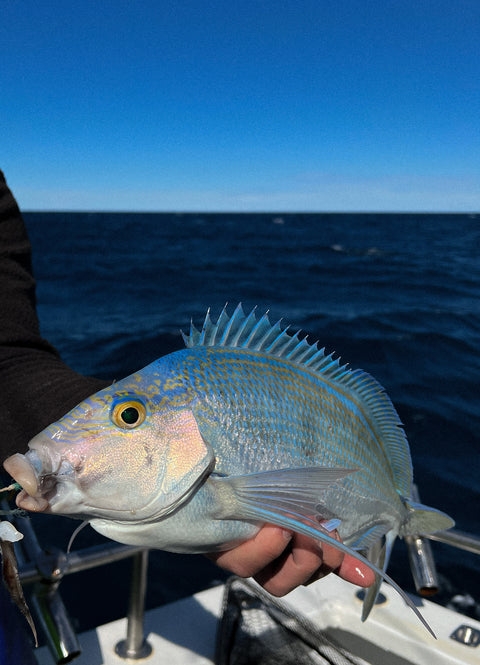 Private Fishing Charters