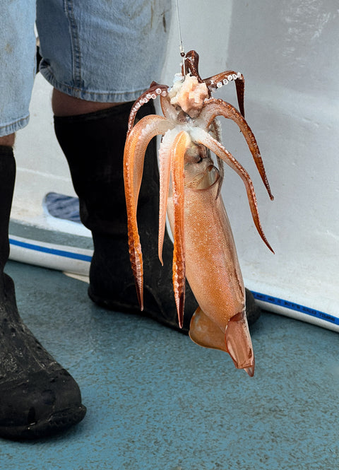 Fishing Voucher