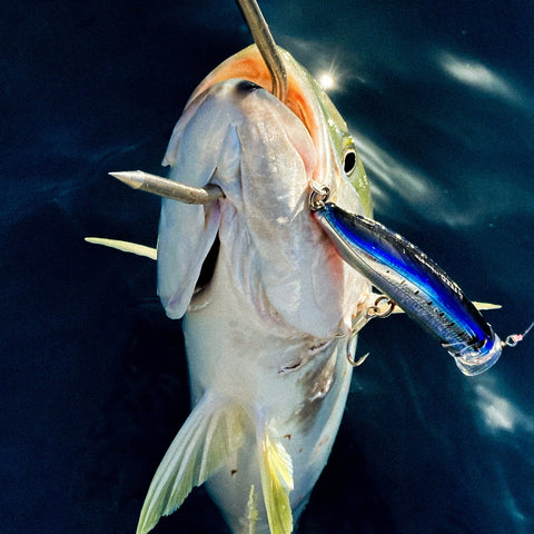 Fishing Charters - 钓鱼包船