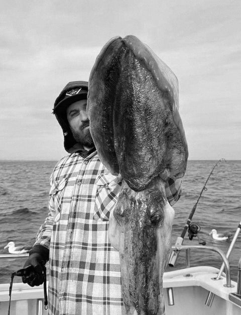 Public Holidays Charters