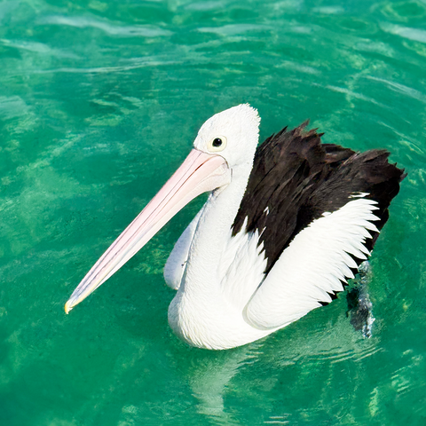Private Bay Cruise · Enquire