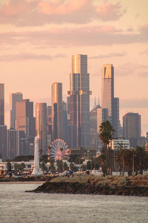 Best Melbourne Fishing Charters (Port Phillip Bay & Bass Strait Guide)