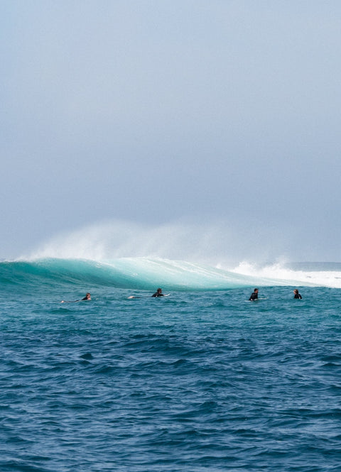 Fishing from Queenscliff — Here’s How It Works