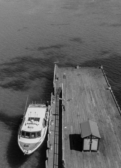 Bass Strait & Port Phillip Bay — Two Fishing Worlds from Sorrento