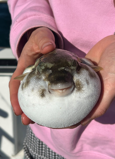Kids Fishing Charters