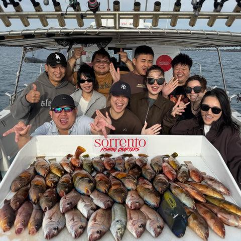 Reef Fish 拼船海钓 • 冬季专属优惠